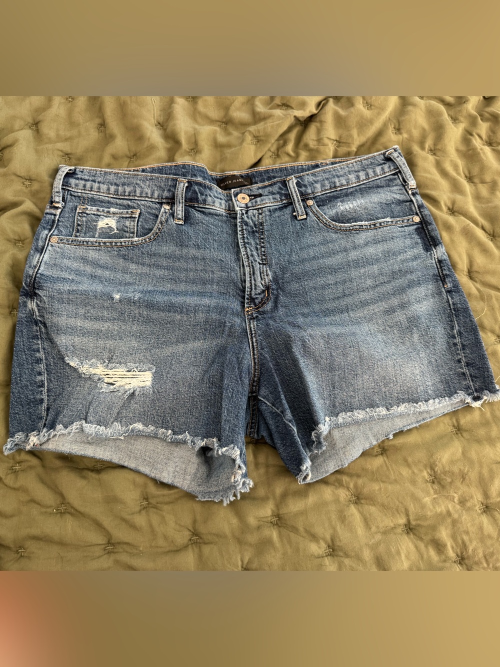 Silver Jeans Distressed Blue Denim Cutoff Shorts
